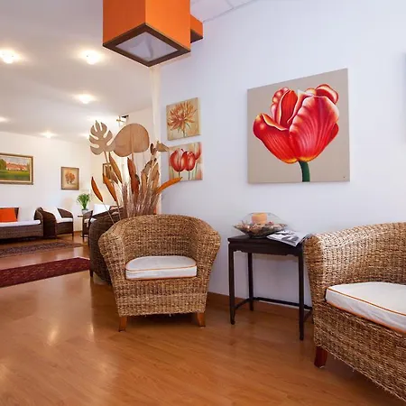 Telenia 3* לידו די ג'סולו