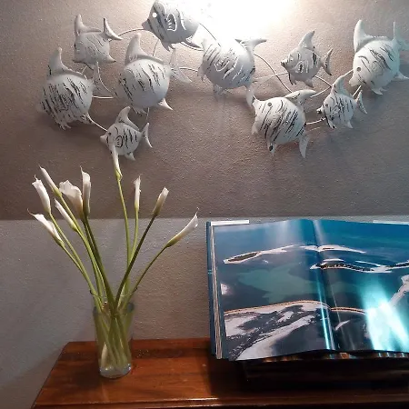 מלון Telenia לידו די ג'סולו